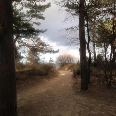 Herr Nielsson Mit Sauna Prázdninový dům