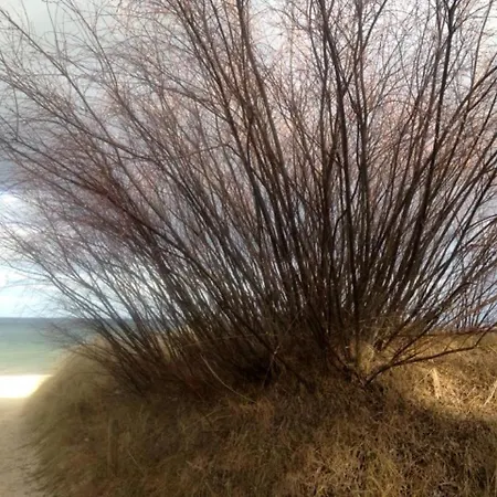 Herr Nielsson Mit Sauna Цинновиц